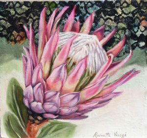 "One King Protea, Lace Detail"