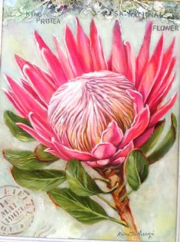 "Pink King Protea, with Detail in Background V"