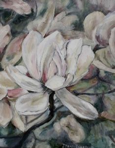 "Magnolia"