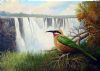 "Victoria Falls & White Fronted Bee Eater"