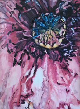 "Poppy Splash"