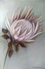"White Protea"