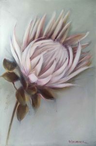 "White Protea"