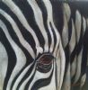 "Zebra Series 2"