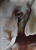 "Elephant Blues"
