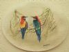 "European Bee-Eaters MISSING/STOLEN?"