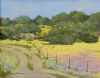 "Gravel Road During Flower Season, Namaqualand"