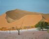 "Dooievlei Namibia"