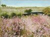 "Clarens, Cosmos in March "