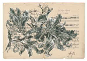 "Latent Vestiges - Wild Magnolia"