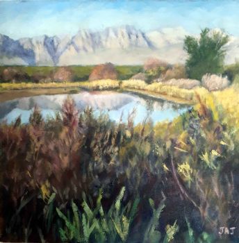 "A Pond With Mountains ."