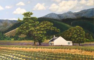 "Lavender Fields"