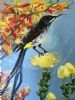 "Sunbird 4"