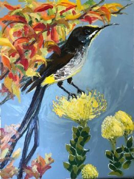 "Sunbird 4"