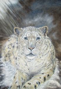 "Snow Leopard PRINT"