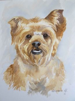 "Yorkie Portrait"