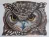 "Do You Have  Any Owls"