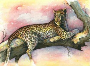 "Leopard at Sunset on Branch"