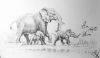 "The Elephant Family"
