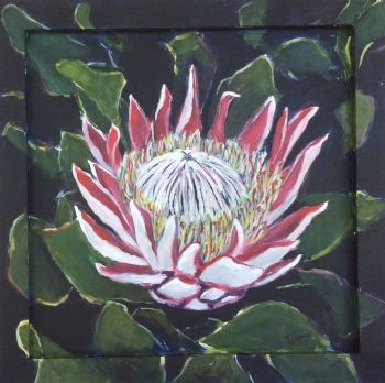 "Famous King Protea"