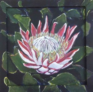 "Famous King Protea"