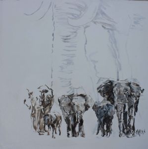 "Elephants on White "