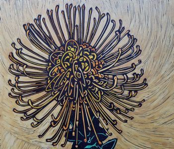 "Pincushion for Table Mountain"