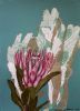 "Protea monotype, 'Simplicity'"