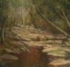 "Rock Pool At Magaliesberg"