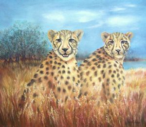 "Ntuli Loop Cheetah"
