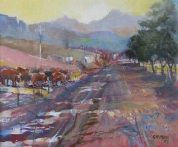 "Sani Pass Road"