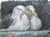 "Roosting Gulls"