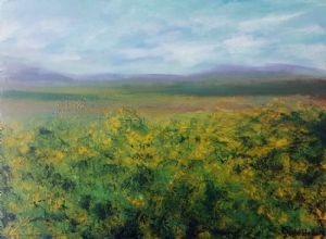 "Canola Field"