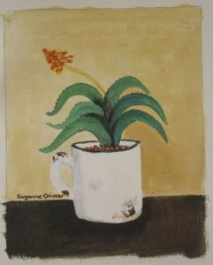 "Aloe in Mug"