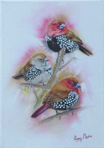 "Pink-throated Twinspots"