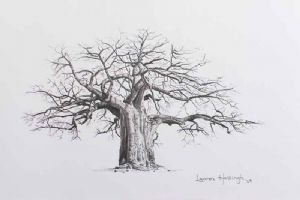 "Baobab Trio (2/3)"