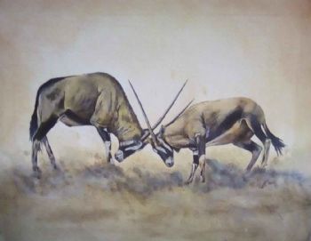 "Oryx"