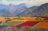 "Hexriver valley Western cape"