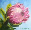 "Pink Ice Protea #2"