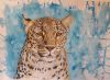 "Leopard With Blue Splatter"