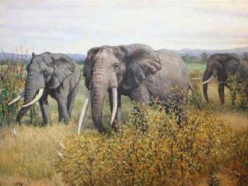 "Elephfants"