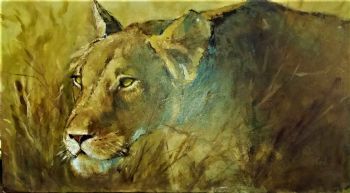 "Stalking Lioness"
