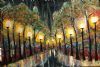 "Midnight Park"