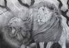 "Lion Couple"