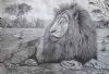 "Lion"