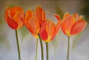"Tulips "