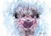 "Baby Ostrich"