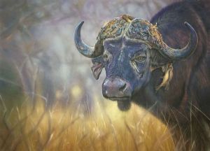 "Buffalo Bill"