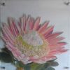 "Protea on Glass"