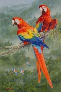 "Scarlet Macaws"